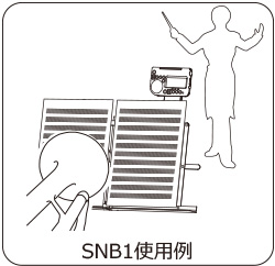 SNB1使用例