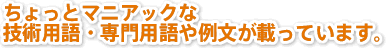 ちょっとマニアックな技術用語・専門用語や例文が載っています。