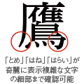 「とめ」「はね」「はらい」が奇麗に表示複雑な文字の細部まで確認可能