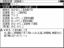 プレビュー表示