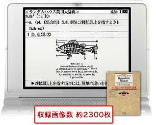 収録画像数 約2300枚