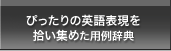 ぴったりの英語表現を拾い集めた用例辞典 