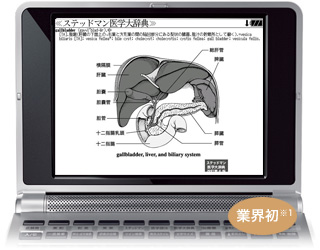 640×480ドット VGA　反射型パネル TFT 業界初※1