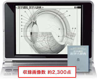 収録画像数 約2,300枚