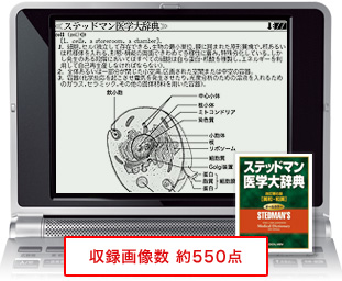 収録画像数 約550枚