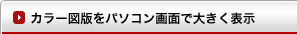 カラー図版をパソコン画面で大きく表示