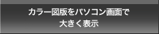 カラー図版をパソコン画面で大きく表示