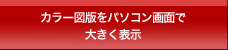 カラー図版をパソコン画面で大きく表示