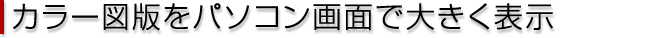 カラー図版をパソコン画面で大きく表示