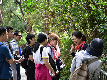 Receiving explanation from a guide