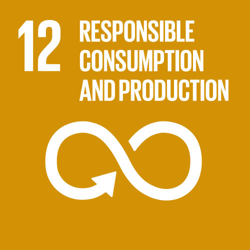 Goal 12: Responsible consumption, production