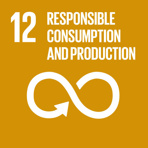 12 Responsible consumption, production