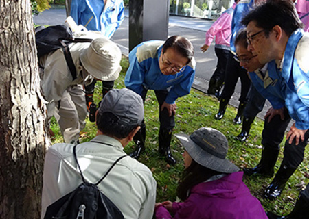 自然観察会にて巣箱の利用状況を確認