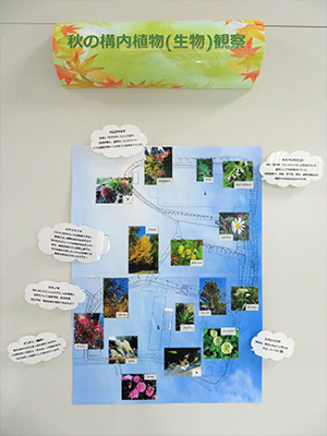 植物解説入り構内図