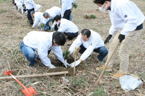 「セイコーインスツルの森」にて植栽 