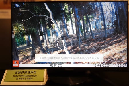 生物多様性_啓発活動_仙台動画配信