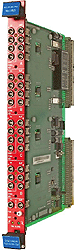 file_PRODUCT_MASTER_1569_GRAPHIC01