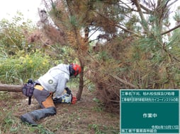 SII幕張事業所SIIの森