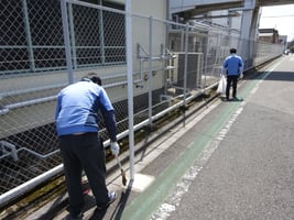 sitereport_ohno_seisou_2026
