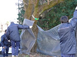 sitereport_tochigi_seibutsu_2026