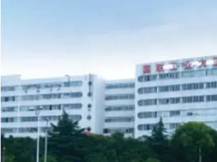 精工電子技術（上海） 有限公司（中国）