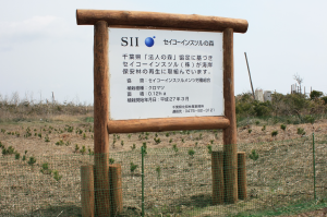 「セイコーインスツルの森」にて植栽