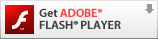 Get ADOBE(R) FLASH(R) PLAYER