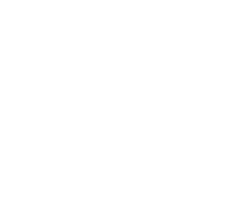 SII Mobile Printer